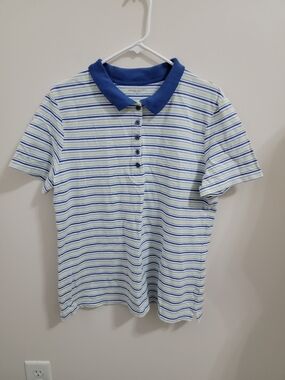 Laura Scott Blue, White & Light Green Striped Polo